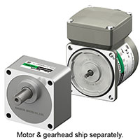 AC Gear Motor