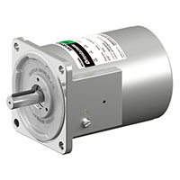AC Gear Motor