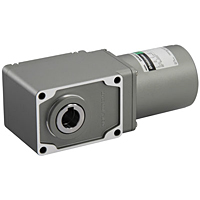 AC Motor