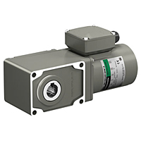 AC Motor