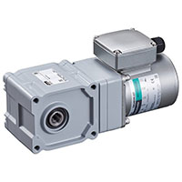 AC Gear Motor