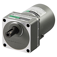 AC Motor