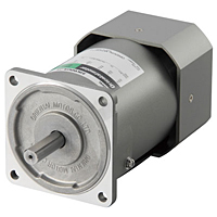 AC Motor
