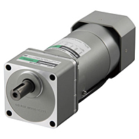 AC Motor