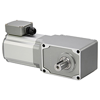 AC Gear Motor