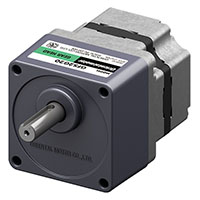 Brushless DC Motor