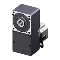 Brushless DC Motor