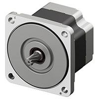 Brushless DC Motor