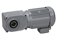 AC Gear Motor