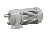 AC Gear Motor
