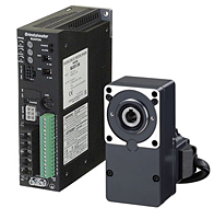 Brushless DC Motor