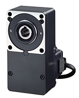 ble46-hollow-shaft-motor-only