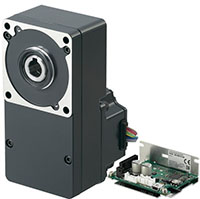 Brushless DC Motor