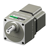 Brushless DC Motor