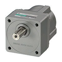Brushless DC Motor