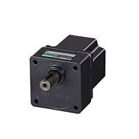 Brushless DC Motor
