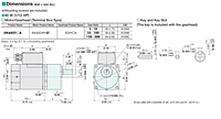 Motor Dimensions