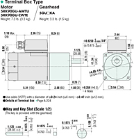 Motor Dimensions