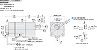 Motor Dimensions