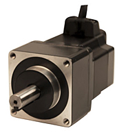 Stepper Motor