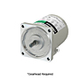AC Motor