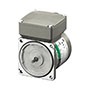 AC Motor