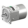 AC Gear Motor