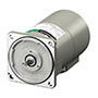 AC Motor