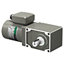 AC Motor