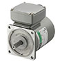 AC Motor
