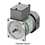 AC Motor
