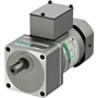 AC Motor