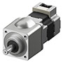 Brushless DC Motor