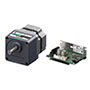 Brushless DC Motor