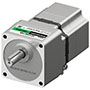 Brushless DC Motor