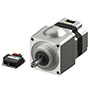Brushless DC Motor