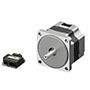 Brushless DC Motor