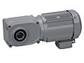 AC Gear Motor