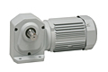 AC Gear Motor