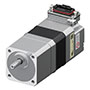 Stepper Motor with Gear