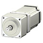 Servo Motor