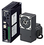 Brushless DC Motor