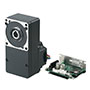 Brushless DC Motor