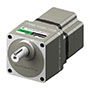 Brushless DC Motor