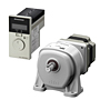 Brushless DC Motor