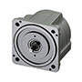 Pinion Shaft Motor