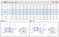 Motor Dimensions