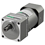 AC Motor