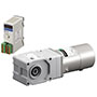 Speed Control Motor