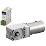 Speed Control Motor